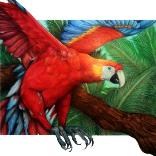 cropped-the-flight-of-the-macaw.jpg