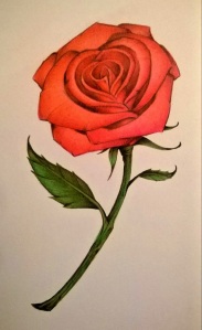 How-to-color-a-Rose11