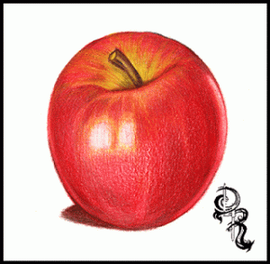 How-to-Draw-an-Apple-010